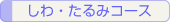 しわ・たるみコース
