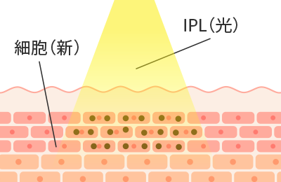 光のエネルギーが直接ターゲット部分にのみ反応